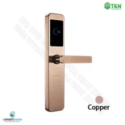 Khoá thẻ từ, chìa cơ eSmartHome màu inox ESH88HL120DSS