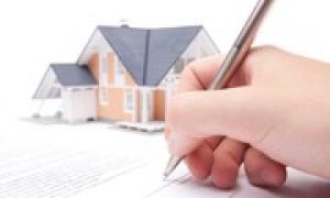 Xây nhà ở 4 tầng kết hợp văn phòng tràn ngập mảng xanh