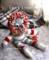how-to-slock-lion