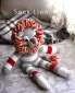 how-to-slock-lion