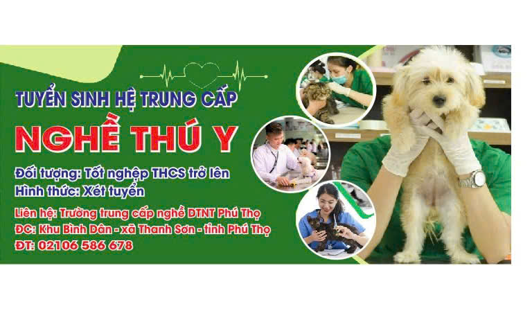 Tuyển sinh hệ trung cấp nghề năm học 2026-2027