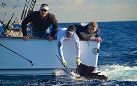 Texas Bass Fishing Trip