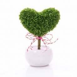 Cây để bàn 03