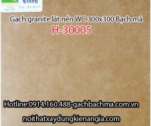 Đá thạch anh Bạch mã 300x300