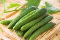 "Dưa chuột mèo" to như phích: Hà thành tò mò ăn thử
