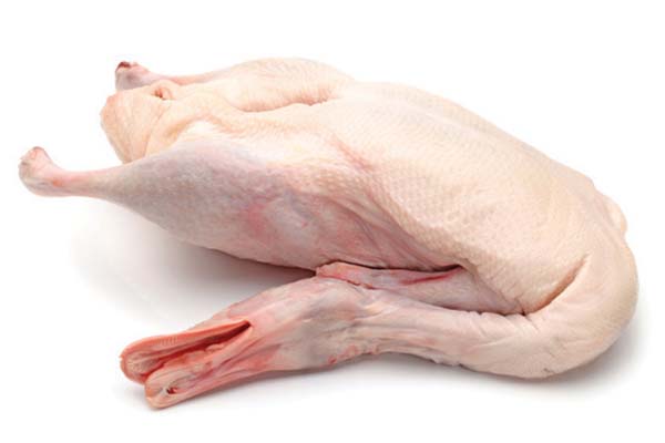 Thịt vịt Thịt vịtThịt vịtThịt vịtThịt vịtThịt vịtThịt vịtThịt vịtThịt vịtThịt vịt