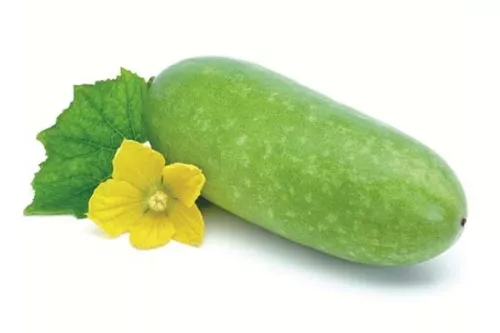 Bí xanh
