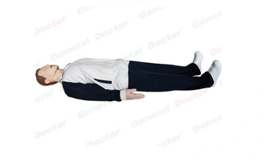 MÔ HÌNH THỰC HÀNH HỒI SỨC TIM PHỔI CAO CẤP CÓ TƯƠNG TÁC DI ĐỘNG MODEL GD-HL/CPR2488