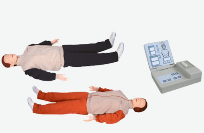 MÔ HÌNH NGHE TIM PHỔI NGƯỜI LỚN MODEL LF01290