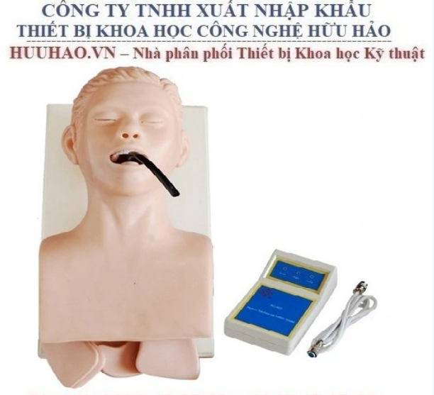 MÔ HÌNH ĐẶT NỘI KHÍ QUẢN NGƯỜI LỚN XC-407