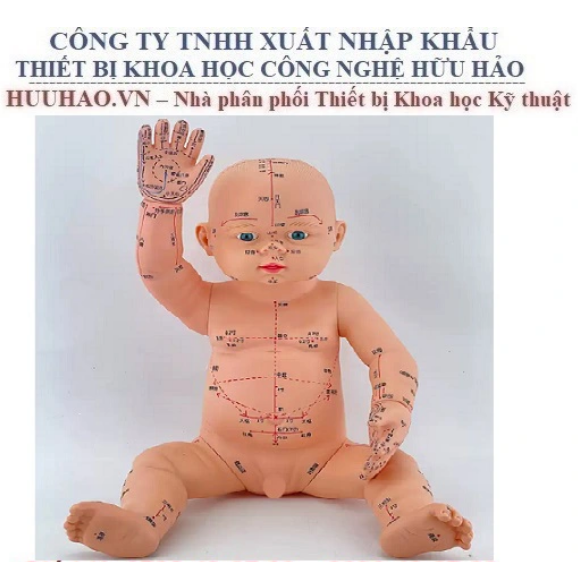 MÔ HÌNH THỰC HÀNH CHÂM CỨU TRÊN TRẺ EM