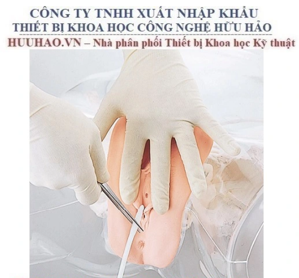 MÔ HÌNH ĐẶT ỐNG THÔNG TIỂU NỮ TRONG SUỐT GD/H16F
