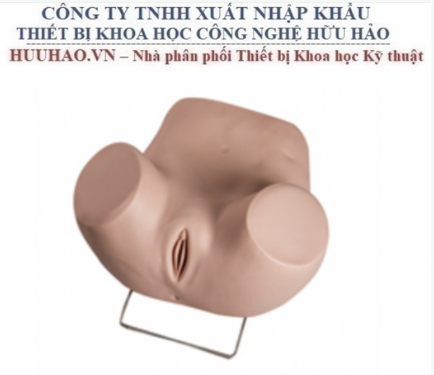 Mô hình mô phỏng khám phụ khoa tổng quát GD/F35