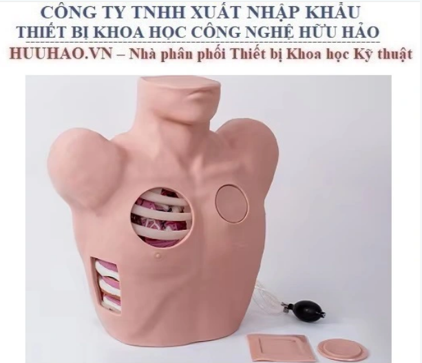 Mô hình chọc dò màng phổi Honglian GD/L67