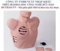 Mô hình chọc dò màng phổi Honglian GD/L67