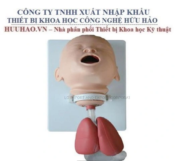 MÔ HÌNH ĐẶT NỘI KHÍ QUẢN TRẺ EM XC-410A