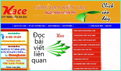 Tư vấn sử dụng Kiến An Gia