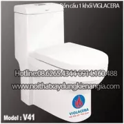 Bồn cầu 1 khối VIGLACERA V41