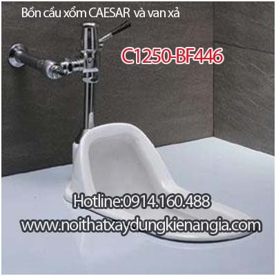 Bồn cầu xổm CAESAR và van xả C1250-BF446
