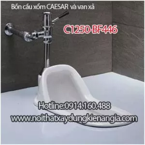 Bồn cầu xổm CAESAR và van xả C1250-BF525