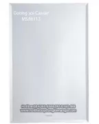 Gương kính phòng tắm 45x60 CAESAR-M113