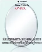 Gương kính oval Tân An Vinh 450x600 AV102A
