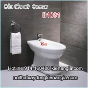 Bồn tiểu nữ Bidet Caesar B1031