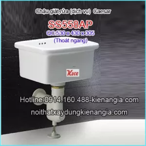 Chậu giặt,chậu rửa Caesar-SS558AP