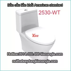 Bệt liền 1 khối American 2530-WT