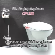 Bàn cầu bệt công cộng Caesar-CP1333