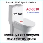 Bồn cầu bệt liền khối Appollo AC-8018
