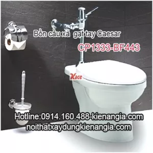 Bồn cầu xả gạt tay Caesar-CP1333-BF521A