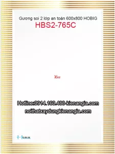 Gương Hoa văn phòng tắm Hobig 60x80 HBS2-765C