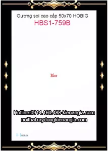 Gương hoa văn Hobig cao cấp 50x70 HBS1-759B