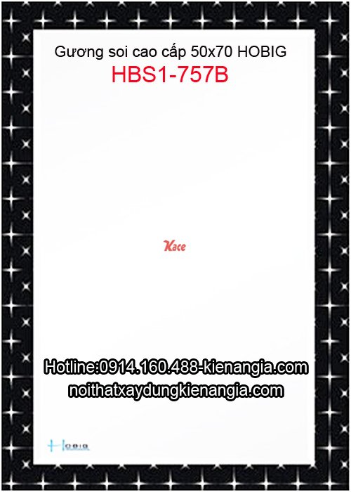 Gương kính Hobig cao cấp 50x70 HBS1-757B
