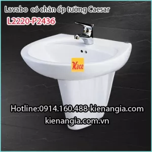 Lavabo và chân ốp tường CAESAR L2220-P2443