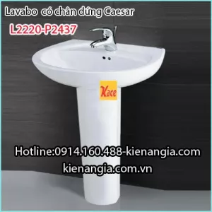 Lavabo và chân dài CAESAR L2220-P2445