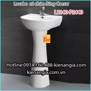Lavabo và chân dài CAESAR L2140-P2445