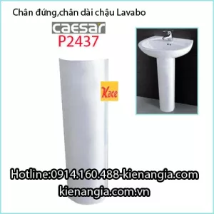 Chân đứng,chân dài chậu Lavabo Caesar P2437
