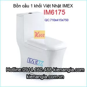 Bồn cầu một khối IMEX Việt Nhật IM6175