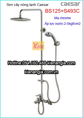 Sen phòng tắm đứng nóng lạnh Caesar BS125-493C
