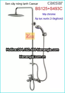 Sen phòng tắm đứng nóng lạnh Caesar BS125-493C