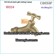 Vòi đơn,vòi hồ đồng D21 CAESAR W034