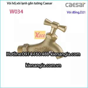 Vòi đơn,vòi hồ đồng D21 CAESAR W034