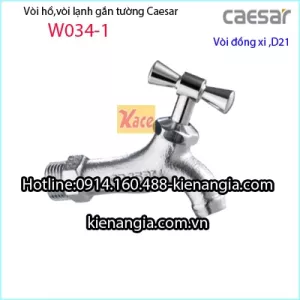 Vòi hồ sàn nước D21 CAESAR W034-1