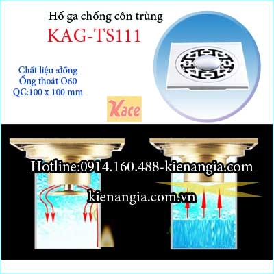 Ho-ga-chong-con-trung-100-D60-KAG-TS111-1