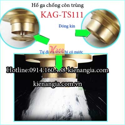 Ho-ga-chong-con-trung-100-D60-KAG-TS111-3