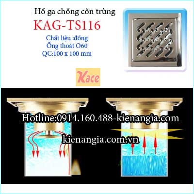 Ho-ga-chong-con-trung-100-D60-KAG-TS116-2