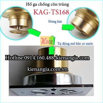 Ho-ga-chong-con-trung-100-D60-KAG-TS168-5