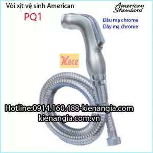 Vòi vệ sinh American standard PQ1